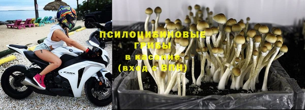 эйфоретик Армянск