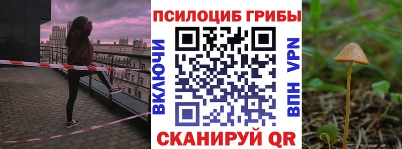 Псилоцибиновые грибы мухоморы  где купить наркотик  Липки 